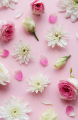 Pink and white flowers on pink background.