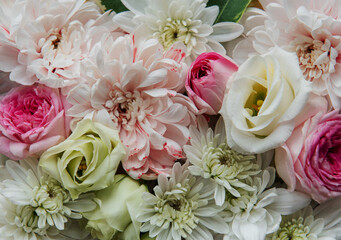 Beautiful pink and white flowers background