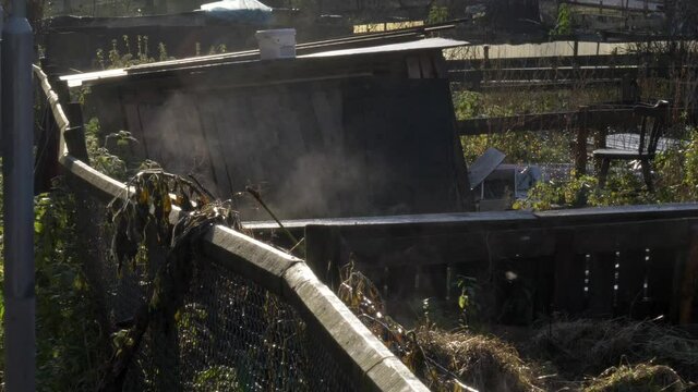 Smooth shot of community garden on a steamy cold morning with an insect flying across the frame