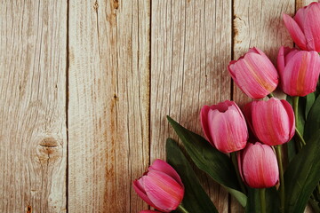 Tulip flower border frame with space copy on wooden background