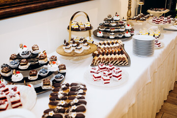 Wedding candy bar and different cap cakes