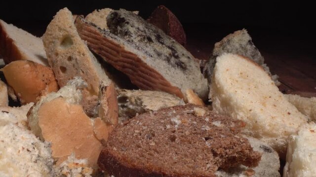 Stale bread, food wasting, food loss. Discarded moldy bread close up. Growth of toxic black mold