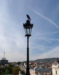 Hungary Budapest landscape from Buda castle