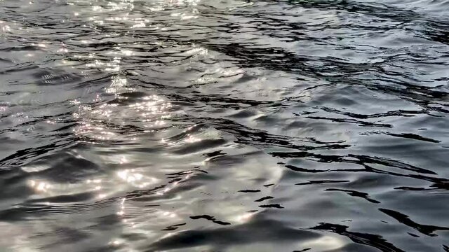 shore baltic sea gulf of finland autumn daytime