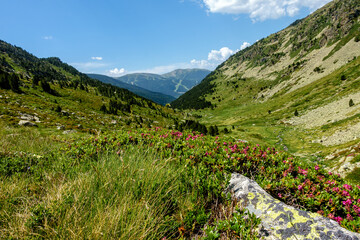 Spring trekking Font d Argent in Andorra