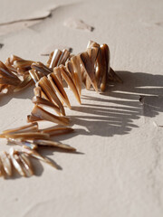 close-up of mother-of-pearl necklace on textured background 
