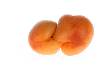 Yellow apricot on a white background