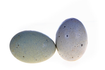 Eggs, duck egg, preserved egg on a white background