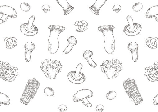 多種類のキノコの背景イラスト：白黒(Background illustrations of many kinds of mushrooms.:white black)