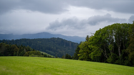Black Forest Landscape on a Cloudy Day