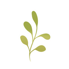 Hand drawn color leaf. Cute isolated element. Modern floral compositions. Tropic green branches. Vector stock illustration. Clip art for stationery, web design, wallpaper, card