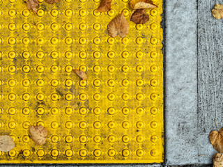 ADA warning pad on a concrete sidewalk with fallen leaves