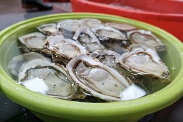 Thailand seafood market fresh oysters