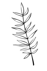Vector outline spice rosemary sprig in doodle style. Clip art for kitchen, design of packaging and wrapping paper, menus, restaurants, products