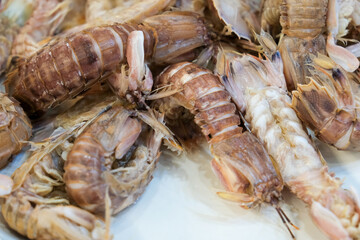 Seafood Restaurant Dishes mantis shrimp