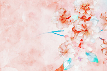 Beautiful watercolor rose flower and bouquet illustration