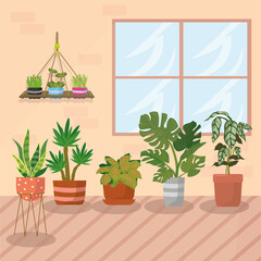 plants and hanger plants