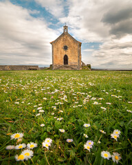 Flowers in front of a beautiful church