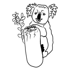 Cute hand drawn koala. Little funny rainforest animal. Australian bear sitting on tropical tree. line sketch. Vector illustration doodle animal. Isolated on white.