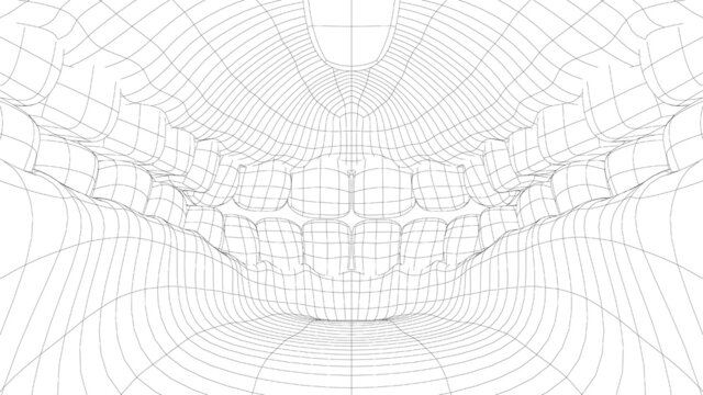 Wire-frame 3D teeth close up. Inside mouth