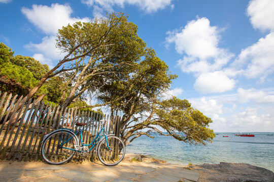 Vieux vélo bleu en bord de mer sur une île en France.