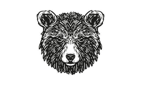 bear logo_isolated