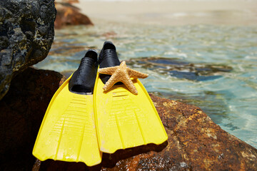 Yellow flippers and starfish on the rocks on the beach © mnimage