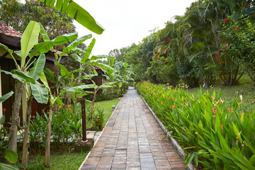 Naklejka premium path in the garden ,tropical resort 