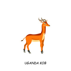 Uganda Kob. African animal. Vector illustration isolated on white background.