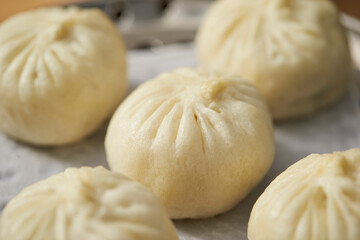 chinese steamed dumplings,meat dumplings 
