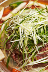 Green onion Bulgogi ,sliced and seasoned