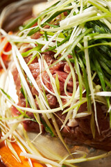 Green onion Bulgogi ,sliced and seasoned