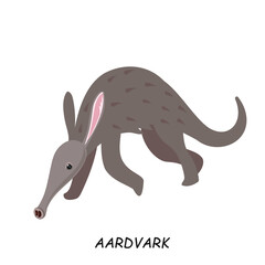 Aardvark, African animal. Vector illustration isolated on white background.