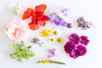 Edible flowers collection isolated on white background. Top view.
