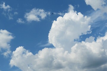 Naklejka na ściany i meble Blue sky with big white fluffy clouds, natural clouds background
