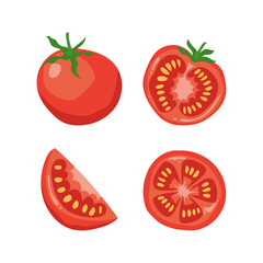 Set of sliced tomato vegetables. Flat vector cartoon design