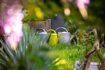 Arrosoir dans un petit jardin charmant et fleuri.