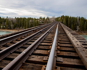 Fototapeta na wymiar railway bridge in the forest