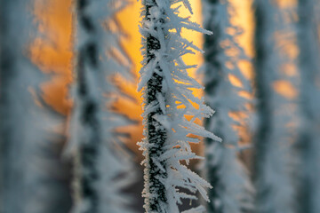 Vereister Zaunpfahl mit Eiskristalle bei aufgehender Sonne im Winter