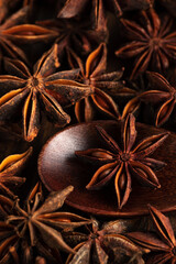 macrophotography of star anise on a wooden background. tubs lies in a brown wooden spoon