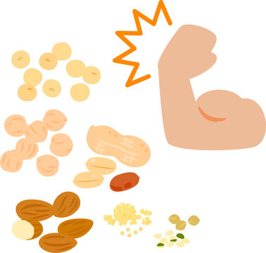 力こぶ の画像 644 件の Stock 写真 ベクターおよびビデオ Adobe Stock