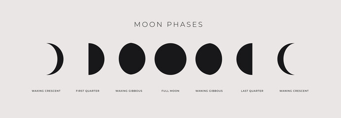 Phases of the waxing and waning moon on a light background. The whole cycle is from new moon to a full moon. Astronomy and lunar calendar vector illustration.