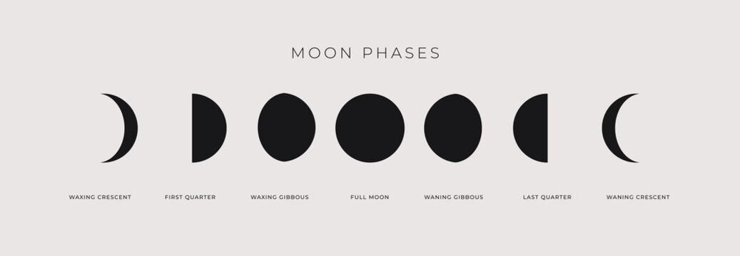 Phases of the waxing and waning moon on a light background. The whole cycle is from new moon to a full moon. Astronomy and lunar calendar vector illustration.