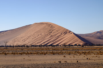 Fototapeta na wymiar Deadvlei is located near the famous salt pan of Sossusvlei, inside the Namib-Naukluft Park in Namibia
