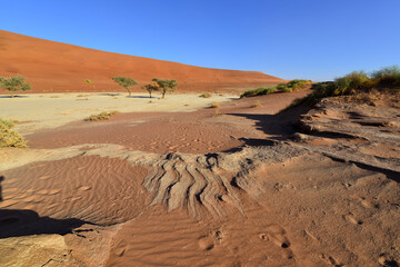 Obraz na płótnie Canvas Deadvlei is located near the famous salt pan of Sossusvlei, inside the Namib-Naukluft Park in Namibia