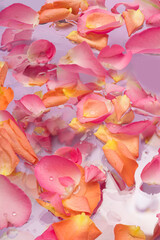 Modern rose petals inspired the concept. Rose petals spread around with a few drops of water in between. Lovely purple background