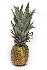 ripe pineapple with leaves isolated white background