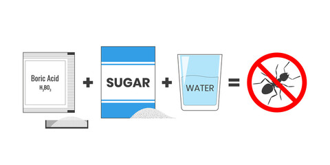 Ant bait recipe with Boric Acid, sugar and water. Insecticide. Prohibited sign no ants. Illustration on white background.
