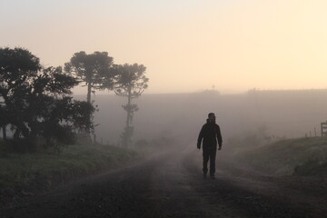 Fototapeta na wymiar turista caminhando enter árvores em amanhecer com neblina 