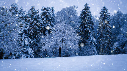 Winterszene, Weihnachtshintergrund:  Schneeflocken tanzen vor verschneitem Wald in der Dämemrung